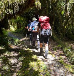 Hollyford Track walking and hiking tours