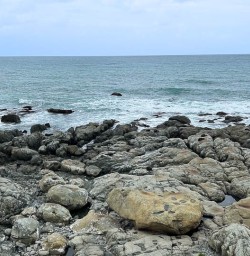 Kaikoura coastline
