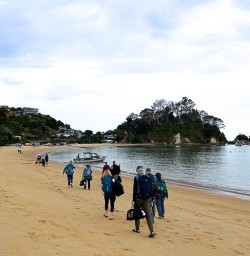 Kaiteriteri 