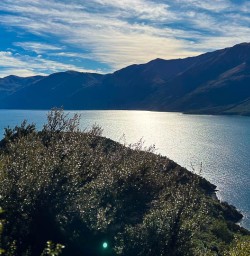 Mou Waho Island hiking tours 