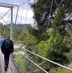 Paparoa National Park hiking adventures 