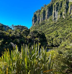 Paparoa National Park