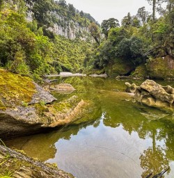 Paparoa walking