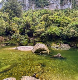 Paparoa water