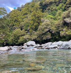 Paporoa National Park adventures