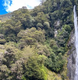 Paporoa National Park hiking tours