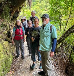 Paporoa National Park2
