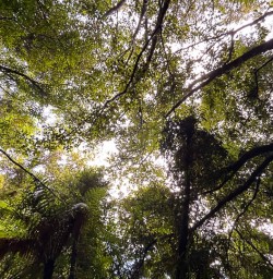 Paporoa National Park