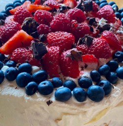 Pavlova