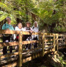 Porarari Loop Track walking tours 