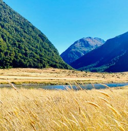 Siberia Valley in New Zealand 