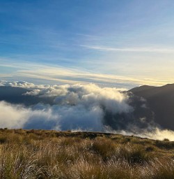 Small Group Tours to Bushline Hut 
