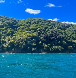 Saint Arnaud is a small alpine village in the Tasman district of New Zealand's South Island