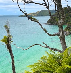 Stewart Island hiking and adventure tours 