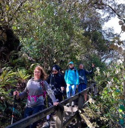 Stewart Island hiking tours2