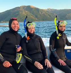 Swimming with dolphins in New Zealand 
