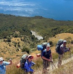 Walking tours to Bushline Hut