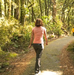 9 West Coast forestsjpg2