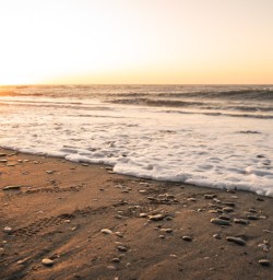 9 West Coast sea foam copy