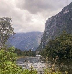 Arthur river, Fiordland New Zealand