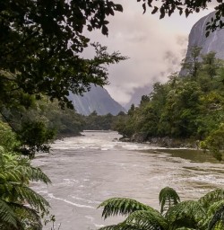 Arthur river, Fiordland New Zealand
