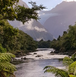 Arthur river, Fiordland New Zealand