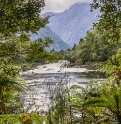 Arthur River, Milford Track Fiordland Southland New Zealand