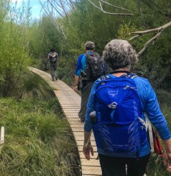 Board walk Glenorchy
