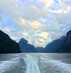 Heading back into port at the incredible Milford Sound. The weather is always part of the show here.