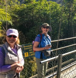 Bridge crossing in Paparoa National Park