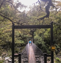 Bridge at Milford track, Fiordland New Zealand
