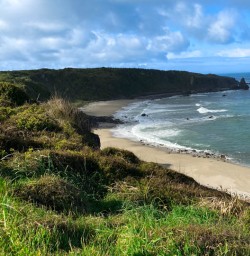 Cape foulwind walkway hiking