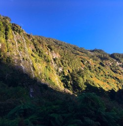 Early light on the the Milford Track