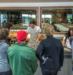 Glass of Vine at Cloudy Bay Vineyards, Marlborough New Zealand