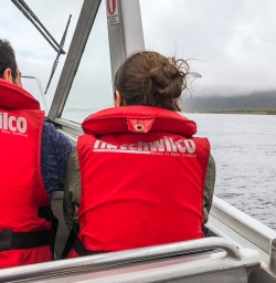 Jetboat at Hollyford river, Fiordland New Zealand