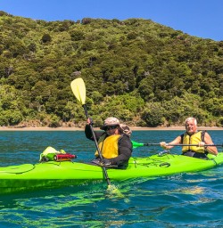 Couple kayaking at Marlborough Sounds, New Zealand