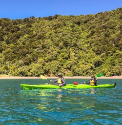 Couple kayaking at Marlborough Sounds, New Zealand