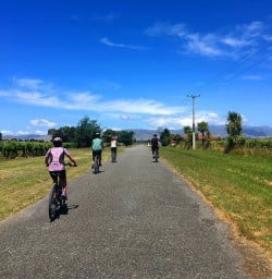 Cycling in Marlborough Vineyards