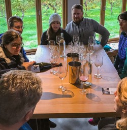 Drink at Forrest Estate Wine, Blenheim Marlborough New Zealand