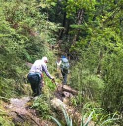 Exploring forest on Angelus Circuit