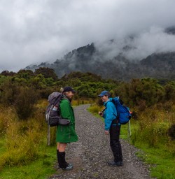 Exploring Martins Bay Fiordland