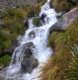 9 falls nelson lakes national park