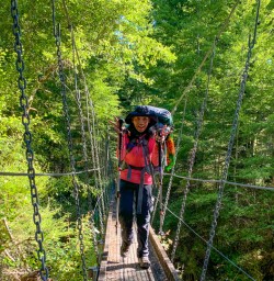 Forest swing bridge Angelus Circuit