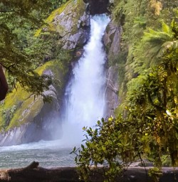 Giant Gate Falls, Milford Track Fiordland New Zealand