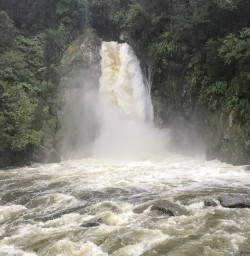 Giant Gate Falls, Milford Track Fiordland New Zealand
