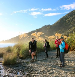 9 group martins bay fiordland southland2
