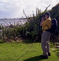 Guest at Martins Bay, Fiordland New Zealand