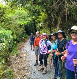 Guided hike Pororari Loop Track