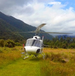 helicopter landing in the hollyford valley