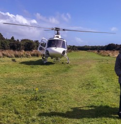 Helicopter landing at Martins Bay, Fiordland New Zealand